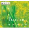 享譽全球經典音樂：bandari班德瑞大自然音樂23CD（全集）